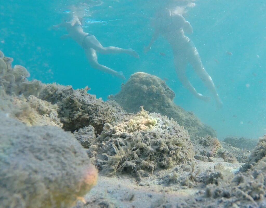Green Sea Safari clean-up trip