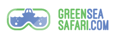 Green Sea Safari