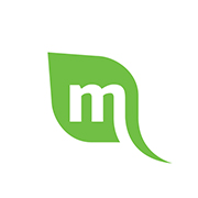 Mint Media